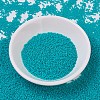 MIYUKI Delica Beads SEED-X0054-DB0793-2
