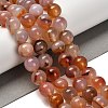 Natural Agate Beads Strands G-G175-A02-01-1