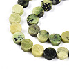 Natural Serpentine Beads Strands G-N346-06A-02-4