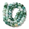 Dyed & Heated Natural Fire Crackle Agate Beads Strands G-P539-B01-21-3
