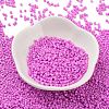 Baking Paint Glass Seed Beads SEED-S042-05B-90-2