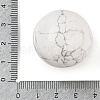 Natural Howlite Sphere Beads G-I367-05D-2