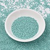 MIYUKI Delica Beads SEED-MY11-DB1576-2