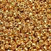 TOHO 6/0 Round Beads X-SEED-TR06-0557-2