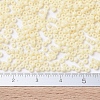 MIYUKI Round Rocailles Beads X-SEED-G007-RR0492-4