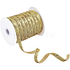 Metallic Polyester Ribbon OCOR-WH0065-13B-1