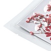 Pressed Dried Flowers DIY-F076-01C-3