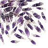 DICOSMETIC 40Pcs 2 Styles Rough Natural Amethyst Pendants FIND-DC0001-82-1