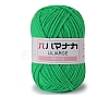 4-Ply Polyester & Acrylic Fiber Yarn for Tufting Gun Rugs PW-WG2A0C2-12-1-1