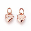 Brass Micro Pave Cubic Zirconia Charms ZIRC-F095-04RG-2
