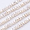 Natural Cultured Freshwater Pearl Beads Strands PEAR-F004-13-1