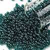 TOHO 8/0 Round Beads X-SEED-TR08-0108BD-1