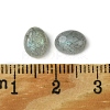 Natural Labradorite Cabochons X-G-A094-01B-11-3
