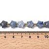 NaturalBlue Aventurine Beads Strands G-Z080-A28-10mm-5