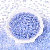 Baking Paint Glass Seed Beads GLAA-T023-43C-1