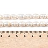 Natural Cultured Freshwater Pearl Beads Strands PEAR-I007-01D-04A-5