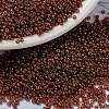MIYUKI Round Rocailles Beads SEED-JP0010-RR0301-1