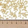 TOHO 8/0 Round Beads SEED-TR08-0557-4