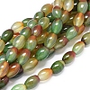Natural Peacock Agate Beads Strands G-D0005-08-1