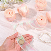 5 Rolls Flat Rainbow Color Organza Ribbon OCOR-CY0003-29B-3