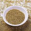 MIYUKI Delica Beads SEED-J020-DB1832-2