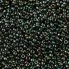 MIYUKI Round Rocailles Beads SEED-X0055-RR2446-3