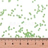 TOHO Round Seed Beads X-SEED-TR11-0167-4