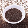 MIYUKI Delica Beads X-SEED-J020-DB1891-2