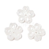 Natural White Shell Carved Beads SSHEL-I026-12D-05-1
