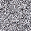 MIYUKI Delica Beads X-SEED-J020-DB0630-4