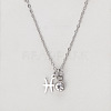 304 Stainless Steel Crystal Rhinestone Birth Stone Constellation Pendant Necklaces FS-WG76580-16-1