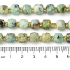 Natural Chrysoprase Beads Strands G-Q010-A19-01-5