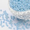 8/0 Glass Seed Beads SEED-US0003-3mm-143-1