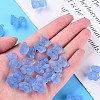 Transparent Acrylic Beads MACR-S373-80-D14-6