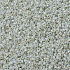 MIYUKI Round Rocailles Beads X-SEED-G007-RR2353-4