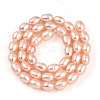 Natural Cultured Freshwater Pearl Beads Strands PEAR-N012-AA-02-3