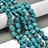 Natural Turquoise Beads Strands G-P497-01E-91-2