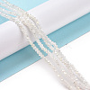 Electroplate Glass Faceted Rondelle Beads Strands EGLA-D020-3x2mm-05-5