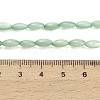 Natural Freshwater Shell Beads Strands SHEL-C010-01A-4