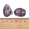 Natural Lepidolite Beads G-G348-01A-18-3