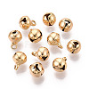 Iron Charms IFIN-T032-041G-1