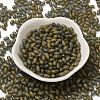 Transparent Colours Glass Seed Beads SEED-F006-03A-05-2