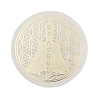 Flat Round Natural Selenite Slice Coasters DJEW-C015-02K-1