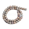 Natural Aqua Terra Jasper Beads Strands G-N0128-48F-8mm-8