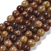 Natural Gemstone Beads Strands G-H045-A01-10MM-2