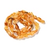 Natural Amber Beads Strands G-P497-01C-04-3