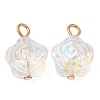 Glass Pendants KK-Q777-14LG-1