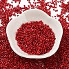 Baking Paint Glass Seed Beads SEED-S042-05B-89-2
