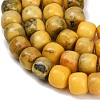 Dyed Natural White Jade Beads Strands GG-CBAA20A-01B-04-4