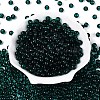 FGB Transparent Glass Seed Beads SEED-N013-01B-09-2